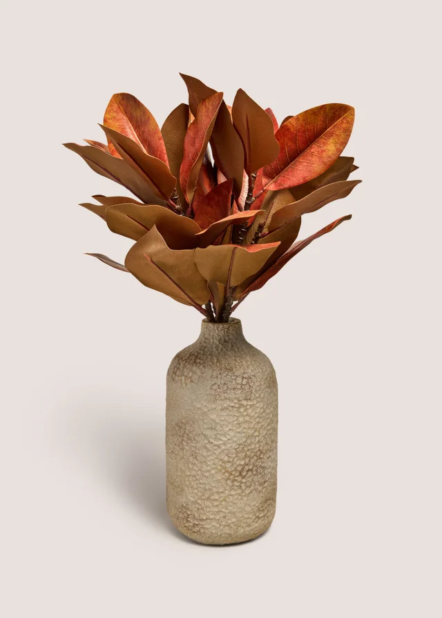 Rust Leaf Plant With Pot