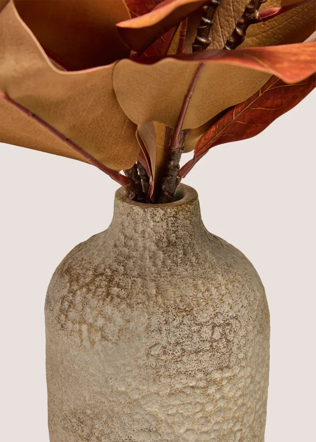 Rust Leaf Plant With Pot